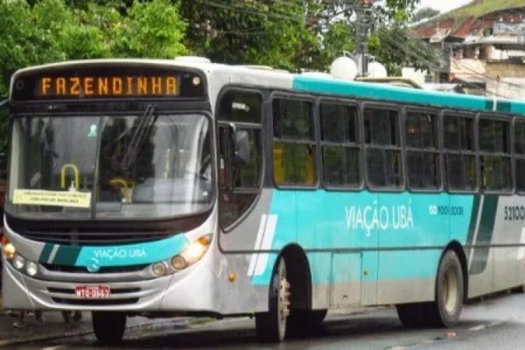 Ação Civil Pública ajuizada pelo MP contra a Viação Ubá Transportes e o Município de Ubá questionou a legalidade de um aumento das tarifas de ônibus ocorrido no ano de 2008