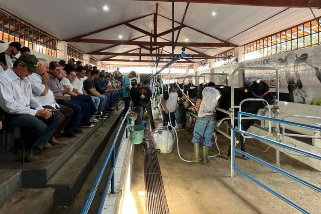 No torneio bubalino da Exposição em Passos, animal produziu 39.820 gramas de leite