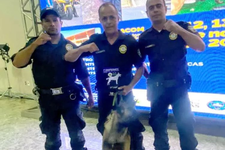 Cão da Guarda se destaca em Campeonato