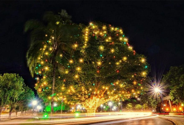 natal_6