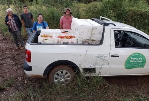 alimentos_4