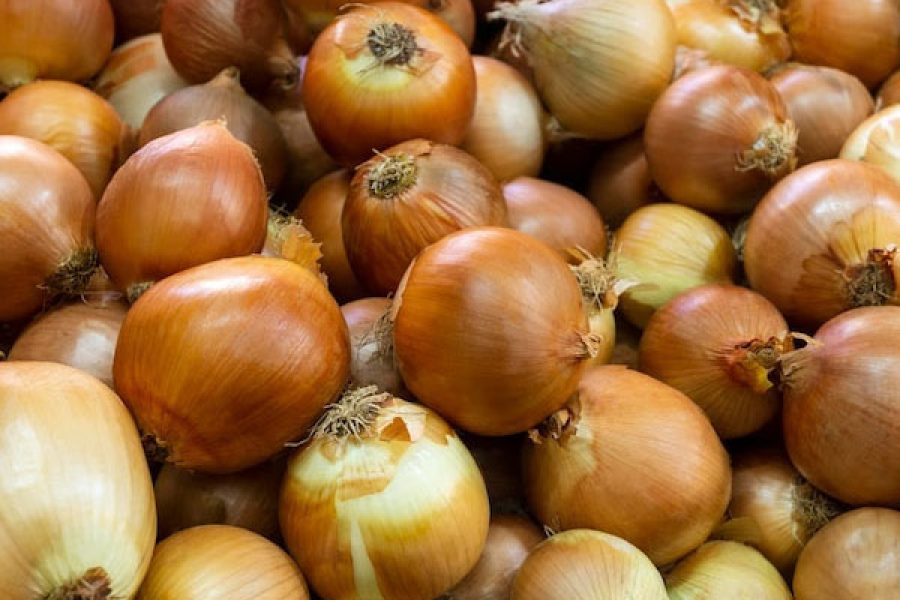 cebola_2