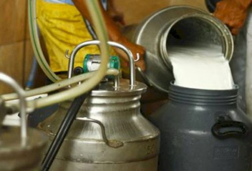 cooperativa-leite