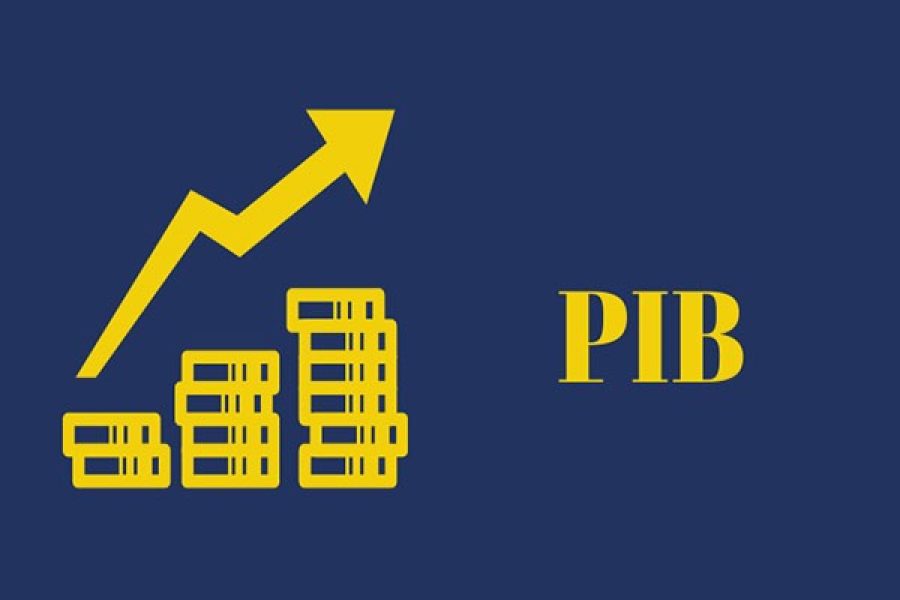 editorial_pib_3