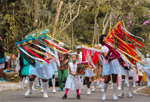 folia_2