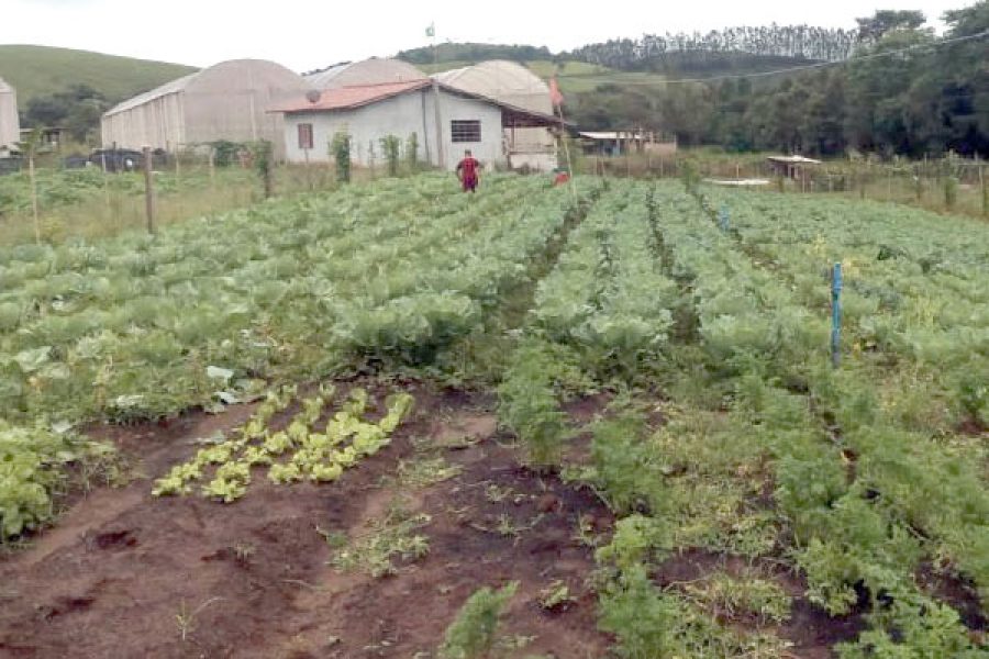 foto-agricultura-familiar-28-01-25