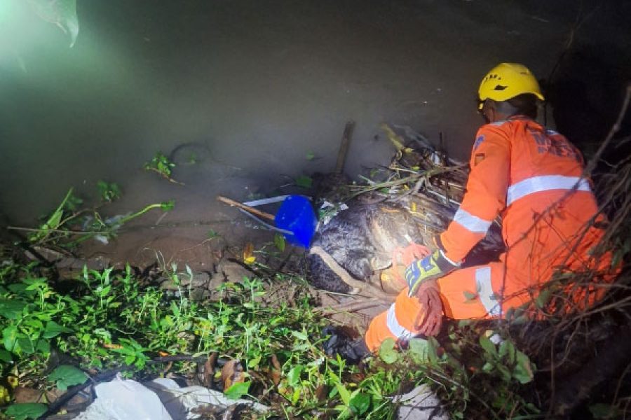 Foto: Bombeiros