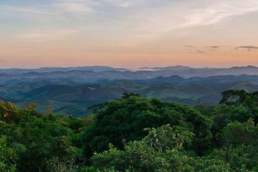 Foto: RPPN Chapadão da Serra Negra/ Divulgação