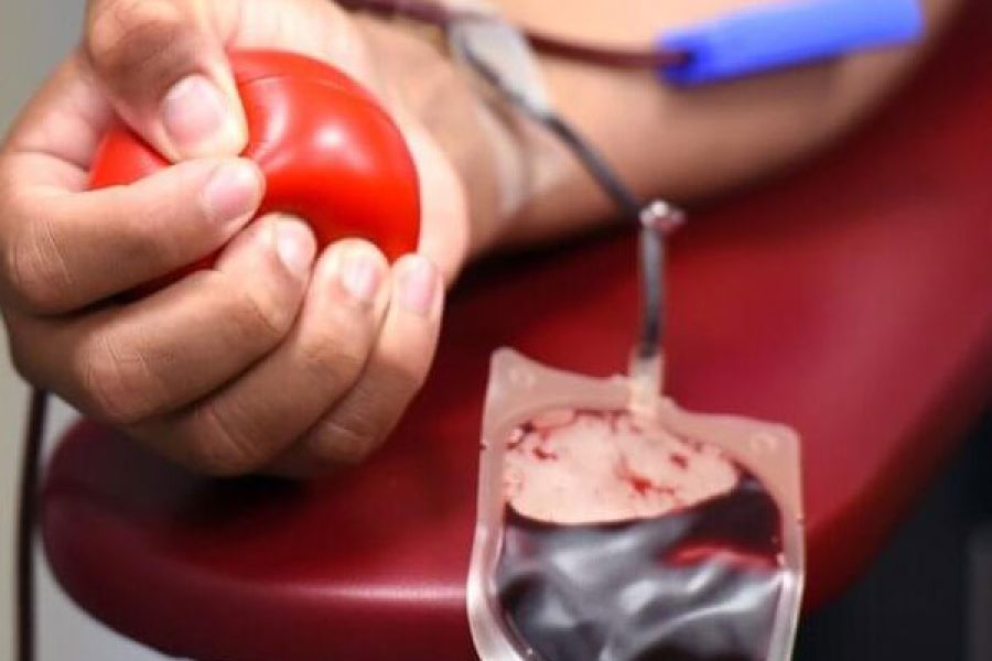 sangue_1